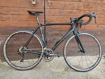 Daccordi Daccordi 2011 2011