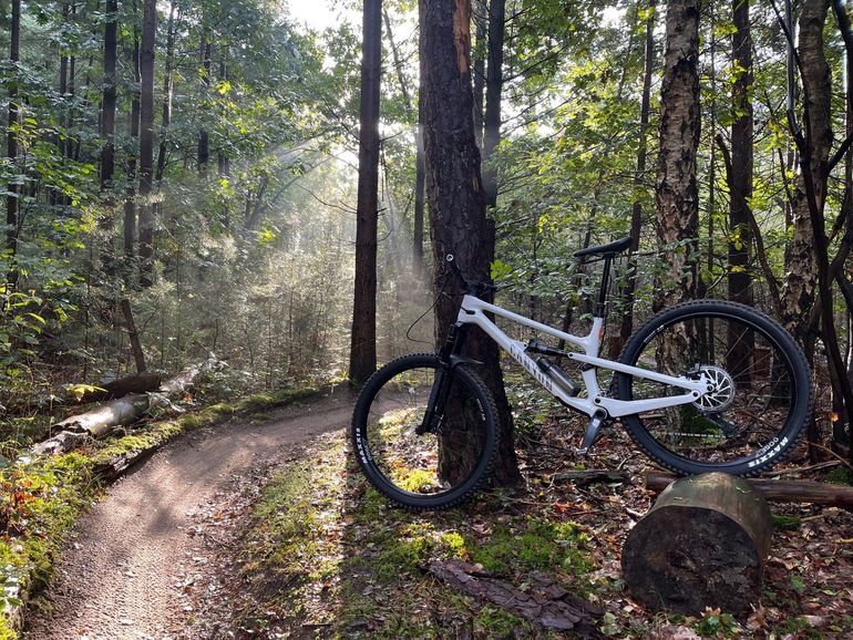 Used Canyon Spectral 125 CF 7 2024 2024 Mountainbike — image 3 of 5