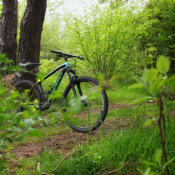 Used Megamo Factory Eagle 07 2019 2019 Mountainbike, Blue — image 2 of 4
