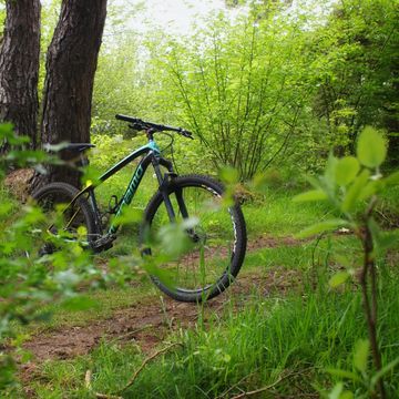 Used Megamo Factory Eagle 07 2019 2019 Mountainbike, Blue — image 2 of 4