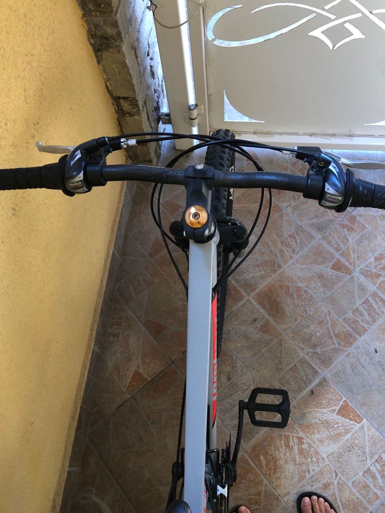 Used LOMBARDO Mozia Shimano Tourney 2019 Mountainbike, Light Gray — image 15 of 20