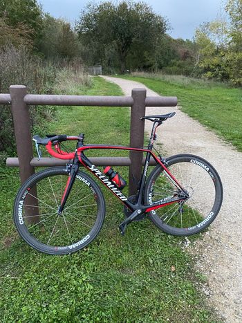 SPECIALIZED Tarmac Elite 2017 Specialized Tarmac SL4 Elite 2017 2017