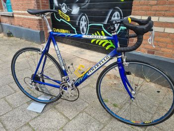 ■ pinarello surprise pinarello surprise pista - Pedal Room