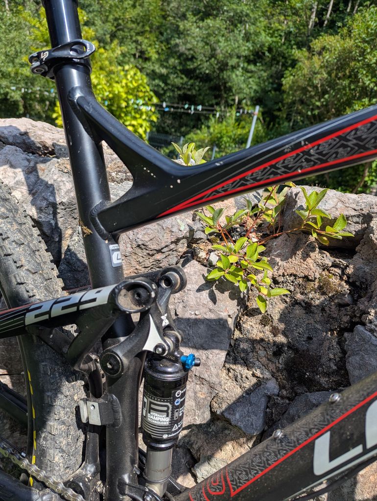 Used Lapierre X- Control 2014 2014 Mountainbike, Black — image 5 of 6
