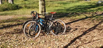 Used Surly Karate Monkey 2020 Mountainbike, Black — image 2 of 3
