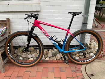 Used Specialized HT Pro Carbon 29“ Acid Pink / Blue /white / Größe L 2021 MTB