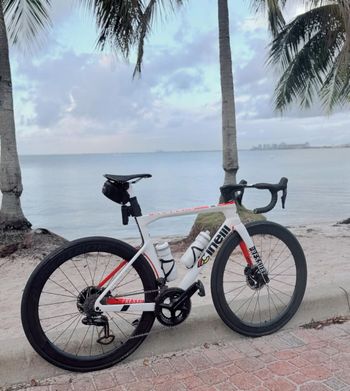 Used Cinelli PRESSURE - ULTEGRA DISC 11S 2024 Frameset 2024 Road & Gravel, White — image 3 of 3