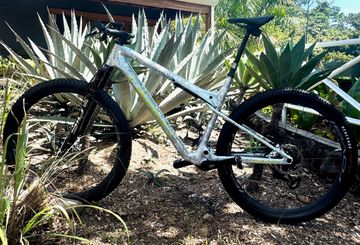 Used Specialized S-Works Epic WC 2024 2024 Mountainbike, Light Gray, 29 — image 1 of 9