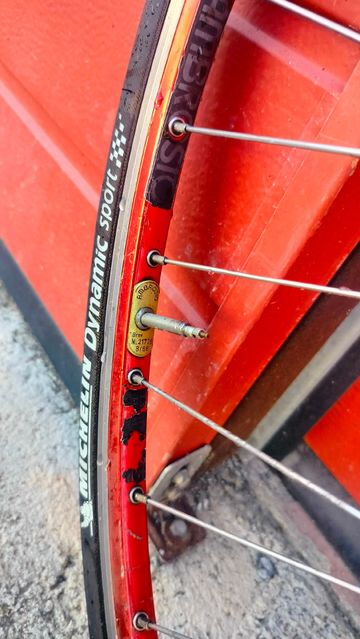 Brugt Olmo Record Vitalicio 1999 Road & Gravel — billede 5 af 8