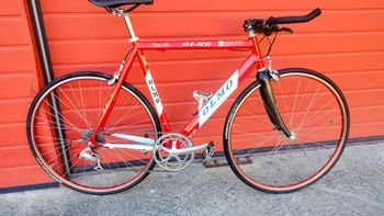 Olmo, Record Vitalicio