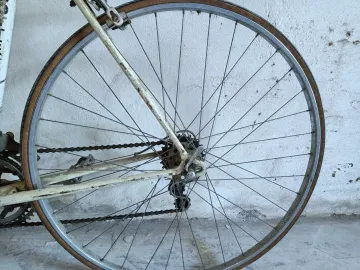 Used Bottecchia Vintage Frameset 1968 Road & Gravel, White — image 18 of 18