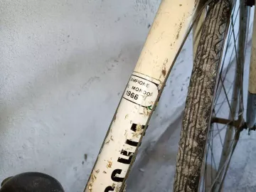 Used Bottecchia Vintage Frameset 1968 Road & Gravel, White — image 14 of 18
