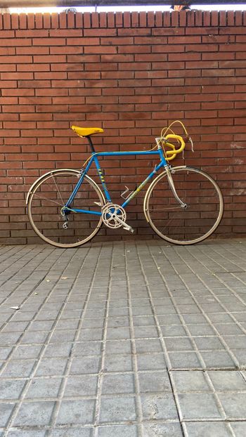 Gitane, Victoire