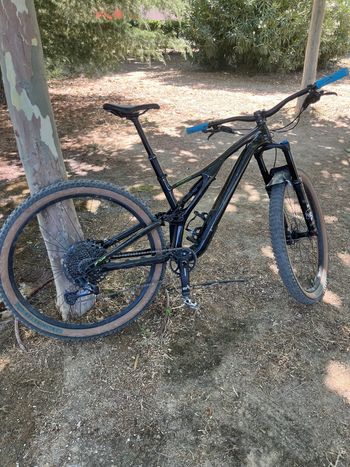 Specialized, Stumpjumper Expert Carbon 29 2020