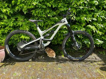 YT Industries, Capra 27 CF Pro 2018