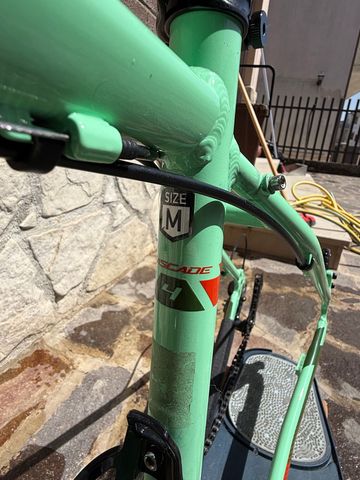 Used Polygon Cascade 4 2024 2024 Mountainbike, Green, 27.5 — image 12 of 14