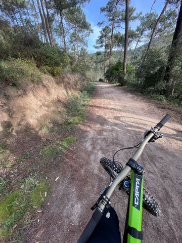 Used YT Industries Cf Pro 2018 Mountainbike, Green, 27.5 (650B) — image 2 of 6