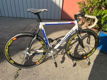 Pinarello, Prince Fassa Bortolo