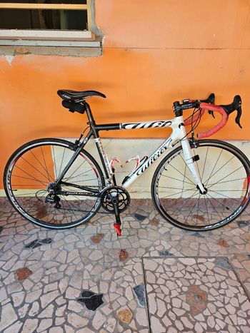 Wilier, Mortirolo