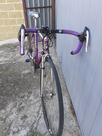 Used Colnago Dream 1996 Road & Gravel, Purple — image 7 of 8