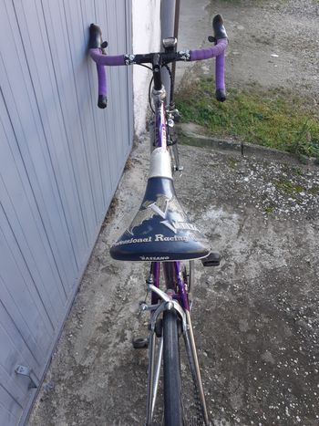 Used Colnago Dream 1996 Road & Gravel, Purple — image 2 of 8