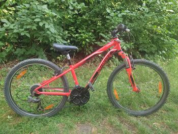 Used Specialized Htorkc 2012 - 24 Pouces 2012 Mountainbike