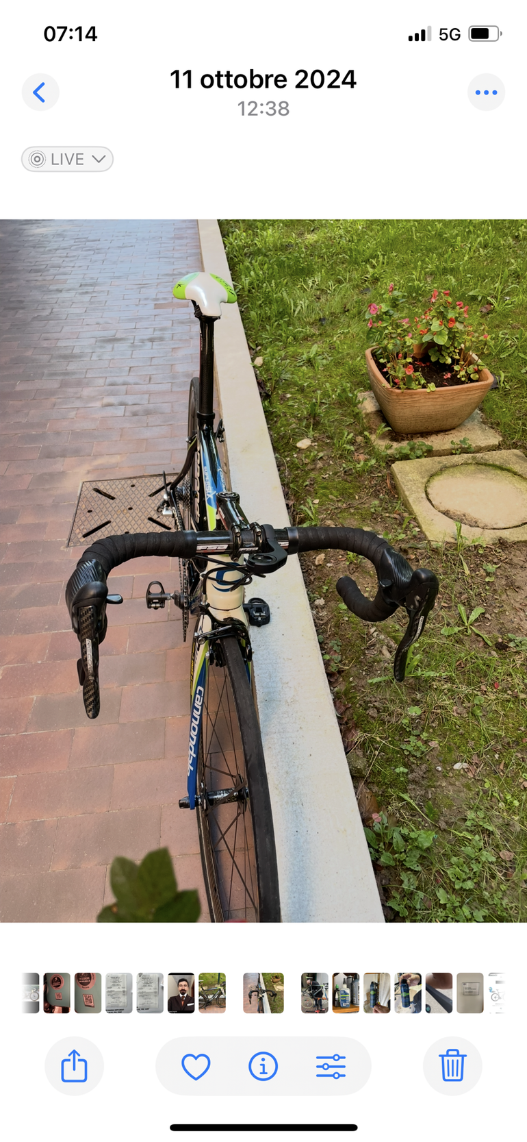 Mtb Maruishi Black Eagle 丸石 マウンテンバイク BLACK EAGLE