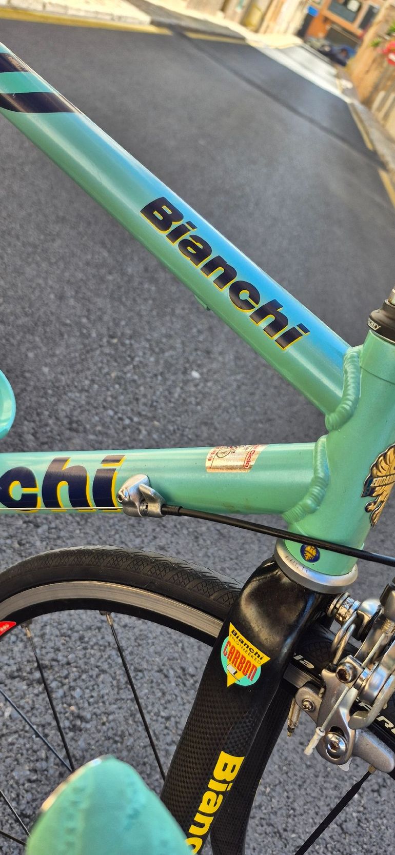 Bikes Bianchi Mega Pro Xl For Sale Xl Ev2 Bianchi Mega Pro Xl