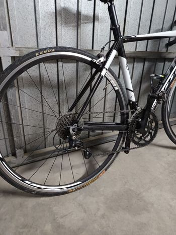 Used Scott Scott Speedseter 40 2015 2015 Road & Gravel, White — image 3 of 3