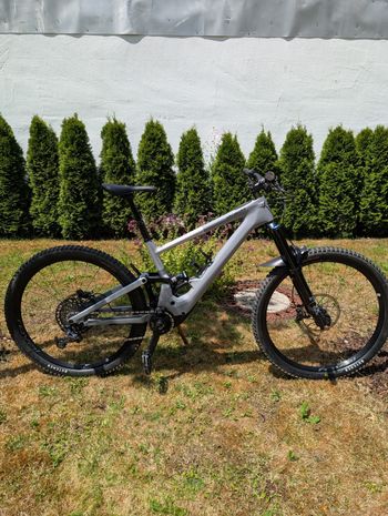 Specialized, Expert 1.1