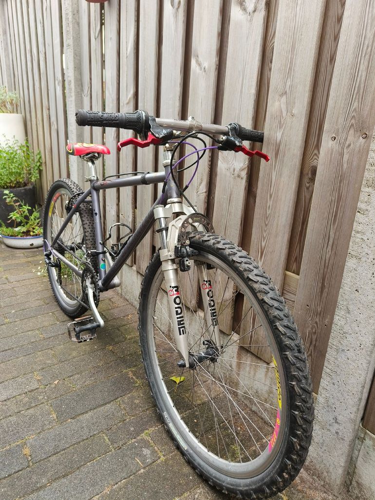 Specialized S-Works Retro MTB 