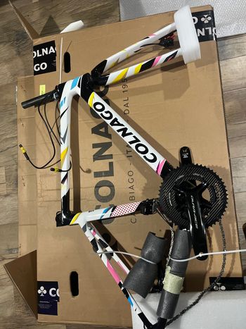Used Colnago 2024 World Championship Frameset Frameset 2024 Road & Gravel, Black — image 3 of 4