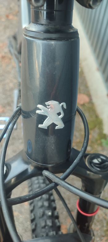 Used Peugeot M01 29fs 2021 2021 Mountainbike, Light Gray, 29 — image 3 of 22