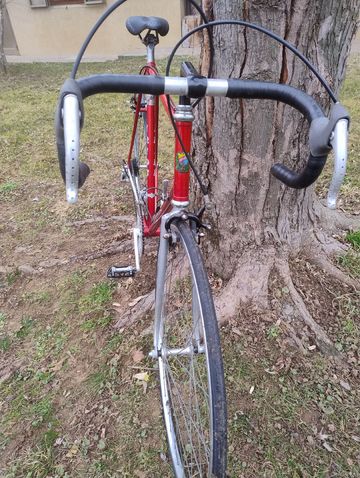 Used Vintage Iride 2025 Road & Gravel, Red — image 4 of 4