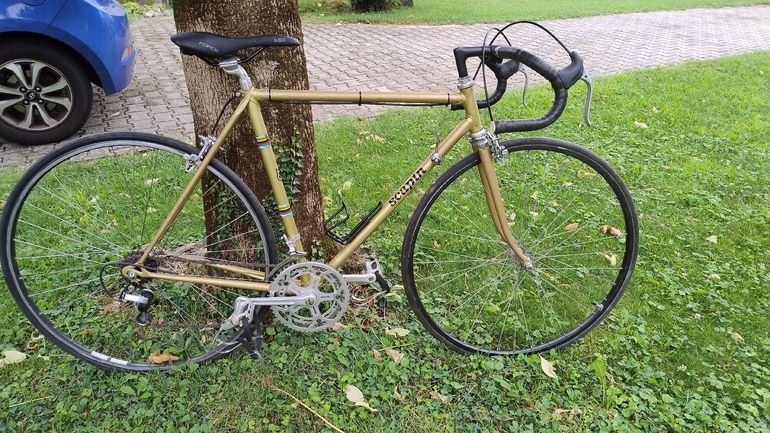 Vintage Scapin 2025 - Main Image