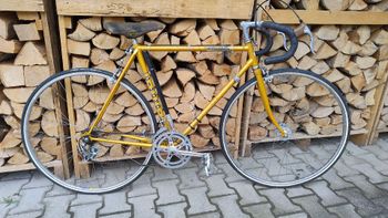 Vintage, Gimondi