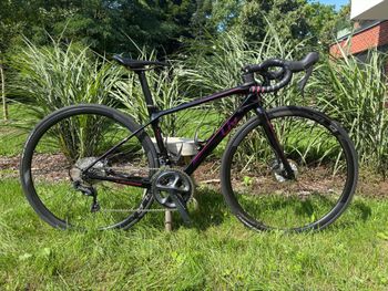 Liv, Langma Advanced Pro 1 Disc 2018
