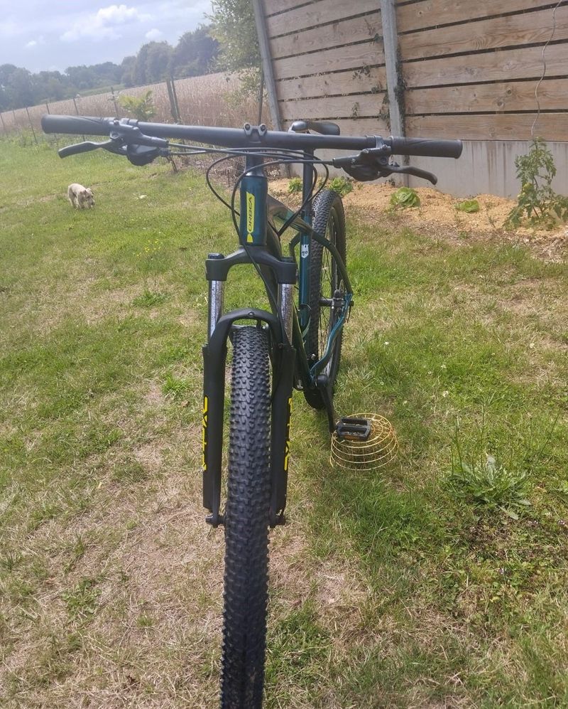 Orbea Mx40 29 2021 2021 Mountainbike d'occasion — image 7 sur 11