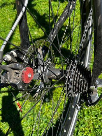 Used Ritchey Carbon Unbekannt 2015 Mountainbike, Black — image 8 of 10