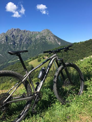Used Trek Procaliber 6 2020 2020 Mountainbike, Light Gray, 29 — image 3 of 3