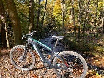 Used Bianchi E-omnia SRAM SX Eagle 2022 Mountainbike, Blue — image 6 of 14