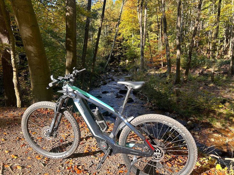 Used Bianchi E-omnia SRAM SX Eagle 2022 Mountainbike, Blue — image 6 of 14
