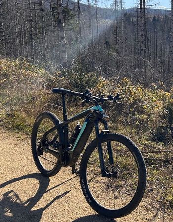 Used Bianchi E-omnia SRAM SX Eagle 2022 Mountainbike, Blue — image 2 of 14