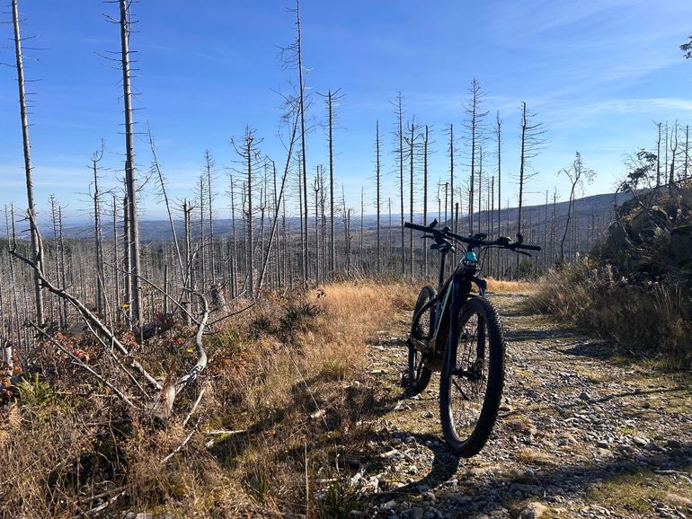 Used Bianchi E-omnia SRAM SX Eagle 2022 Mountainbike, Blue — image 5 of 14