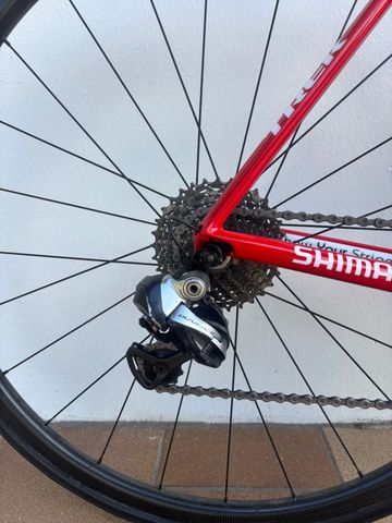 Trek Madone 7.9 WSD H2 (Compact) 2013 2013 Road & Gravel usato, Rosso — immagine 3 di 5