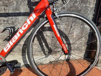 Used Bianchi 928 Carbon Mono-Q Tech 2009 Road & Gravel, Red — image 3 of 9