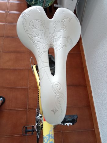 Used Specialized Bike Road Woman Dolce Specialized 2013 2013 Road & Gravel — image 7 of 7
