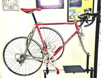 Pinarello, Treviso