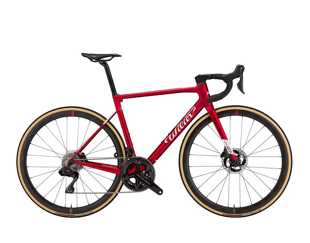 Wilier campagnolo on sale