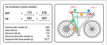 Used Trek Madone SL 7 Gen 8 2025 2025 Road & Gravel, White — image 4 of 4